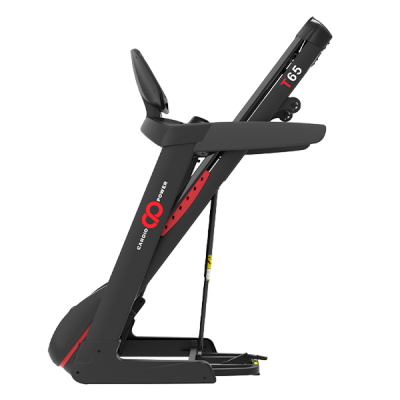 Беговая дорожка CardioPower T65